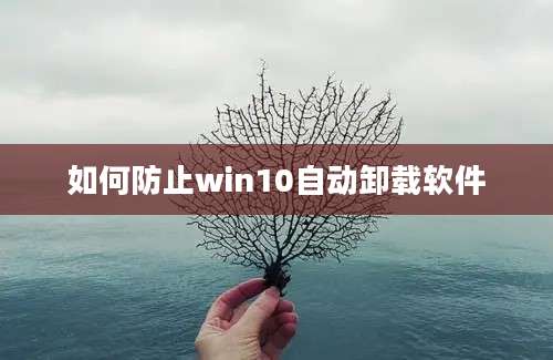 如何防止win10自动卸载软件