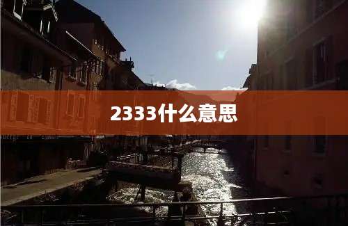 2333什么意思