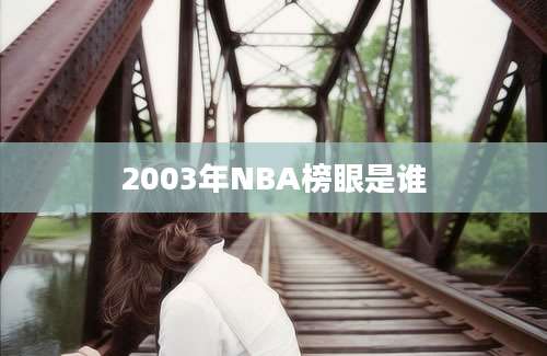 2003年NBA榜眼是谁