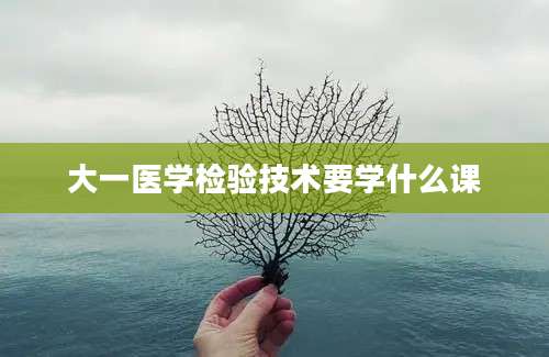 大一医学检验技术要学什么课