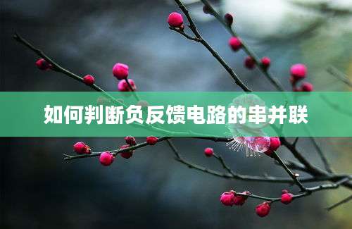 如何判断负反馈电路的串并联