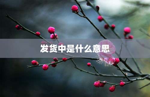 发货中是什么意思