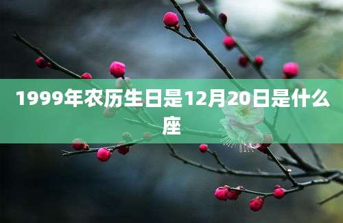 1999年农历生日是12月20日是什么座