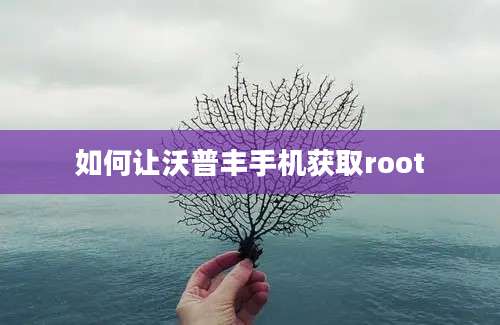 如何让沃普丰手机获取root