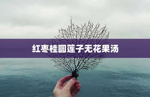 红枣桂圆莲子无花果汤