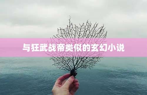 与狂武战帝类似的玄幻小说