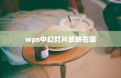 wps中幻灯片放映在哪