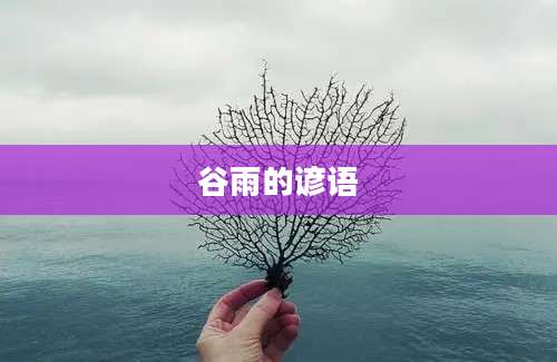 谷雨的谚语