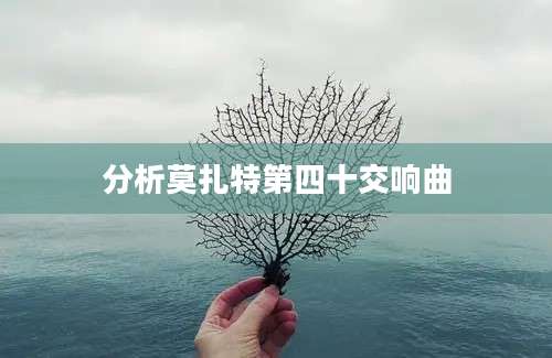 分析莫扎特第四十交响曲