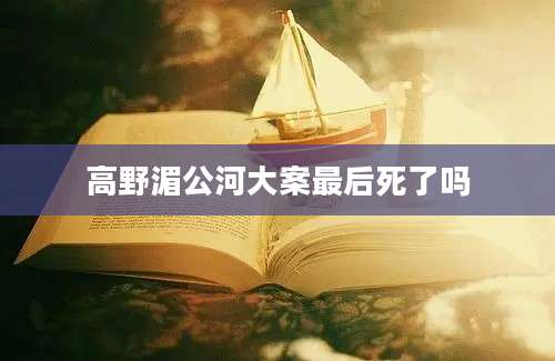 高野湄公河大案最后死了吗