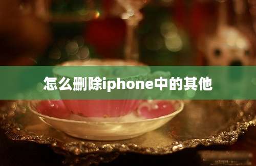 怎么删除iphone中的其他