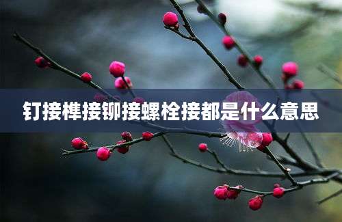 钉接榫接铆接螺栓接都是什么意思