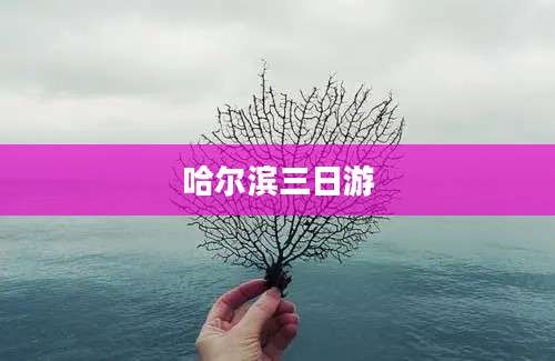 哈尔滨三日游