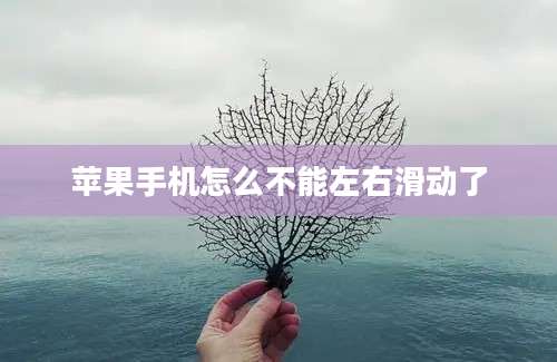 苹果手机怎么不能左右滑动了