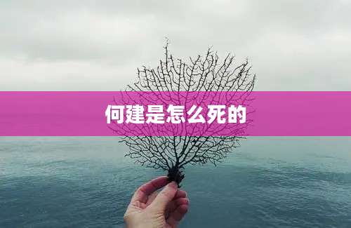 何建是怎么死的