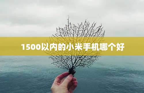 1500以内的小米手机哪个好