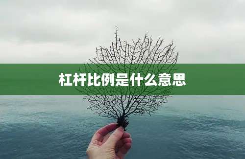 杠杆比例是什么意思