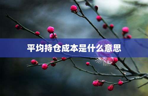 平均持仓成本是什么意思