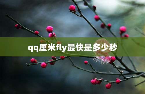 qq厘米fly最快是多少秒