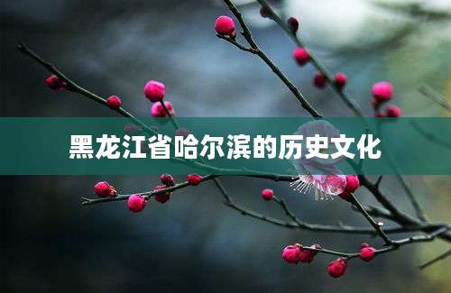 黑龙江省哈尔滨的历史文化