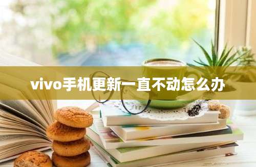 vivo手机更新一直不动怎么办