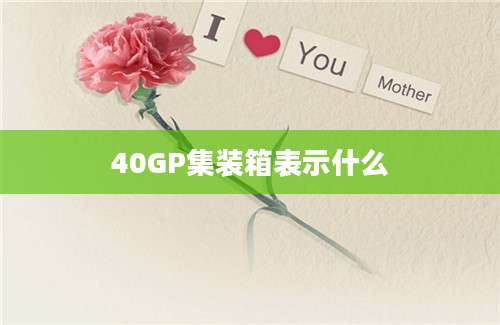 40GP集装箱表示什么