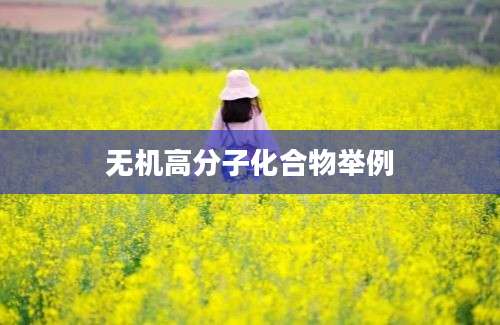 无机高分子化合物举例