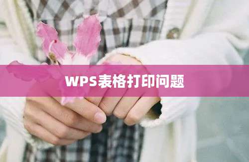 WPS表格打印问题