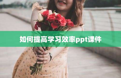 如何提高学习效率ppt课件