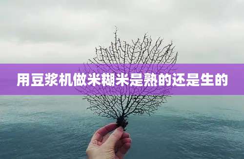 用豆浆机做米糊米是熟的还是生的