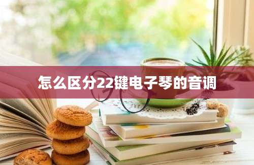 怎么区分22键电子琴的音调