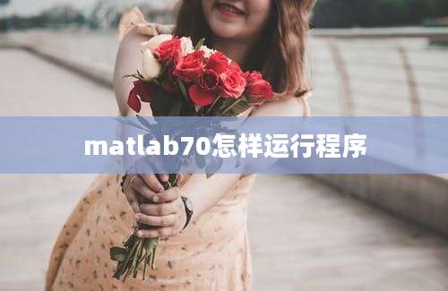 matlab70怎样运行程序