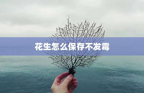 花生怎么保存不发霉