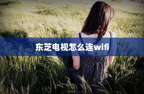 东芝电视怎么连wifi