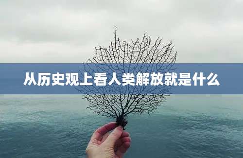 从历史观上看人类解放就是什么