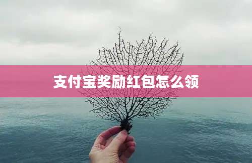 支付宝奖励红包怎么领