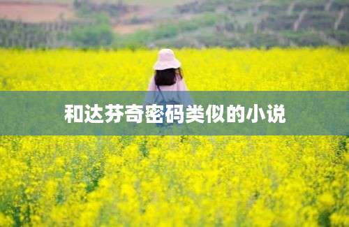 和达芬奇密码类似的小说