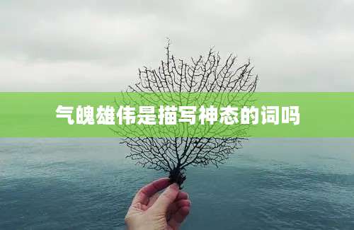 气魄雄伟是描写神态的词吗