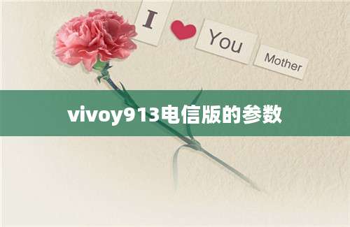 vivoy913电信版的参数