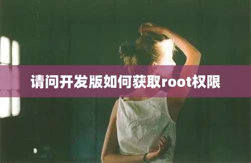 请问开发版如何获取root权限