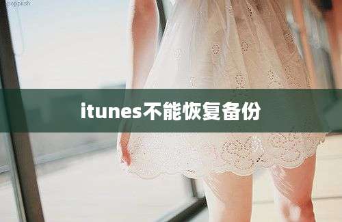 itunes不能恢复备份