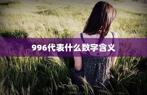 996代表什么数字含义