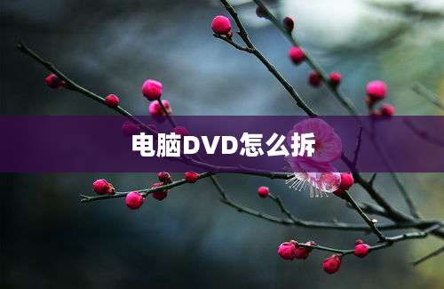 电脑DVD怎么拆