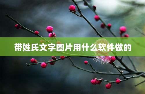 带姓氏文字图片用什么软件做的