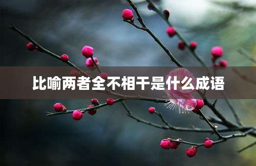 比喻两者全不相干是什么成语