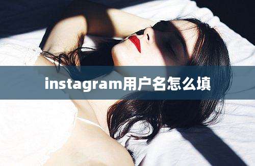 instagram用户名怎么填