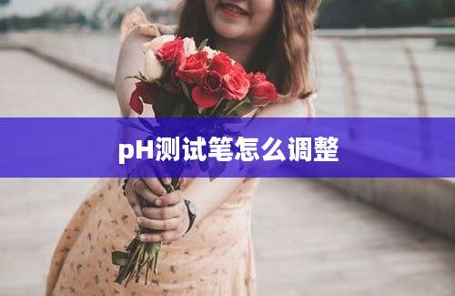 pH测试笔怎么调整