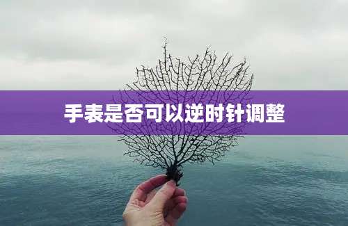 手表是否可以逆时针调整