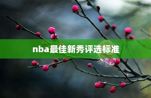 nba最佳新秀评选标准