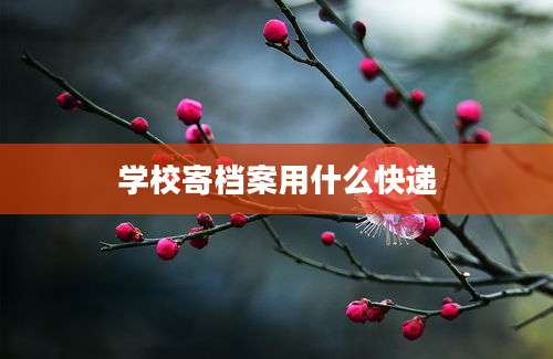 学校寄档案用什么快递